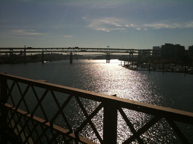 Portland Bridges