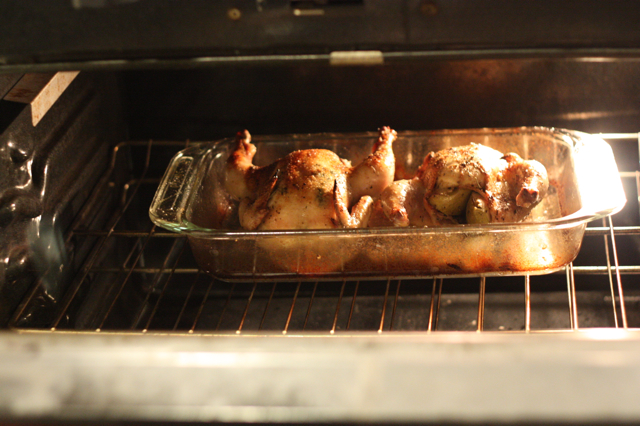 Cornish Hens in the oven