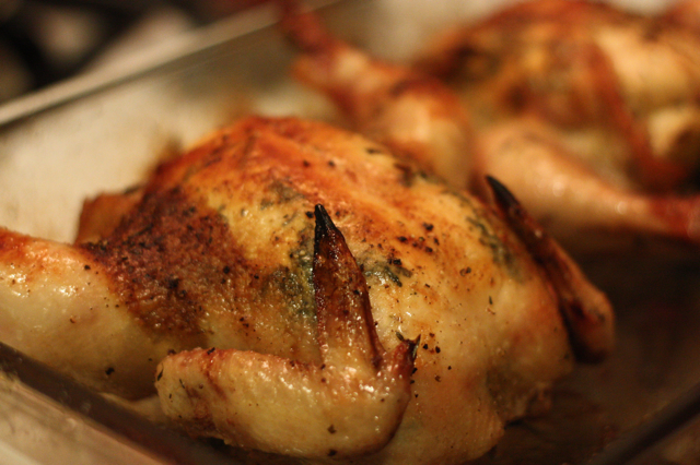 Cornish Game Hens